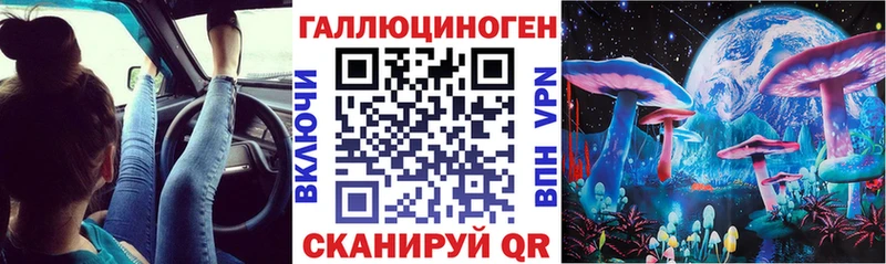 цены Майский Галлюциногенные грибы GOLDEN TEACHER